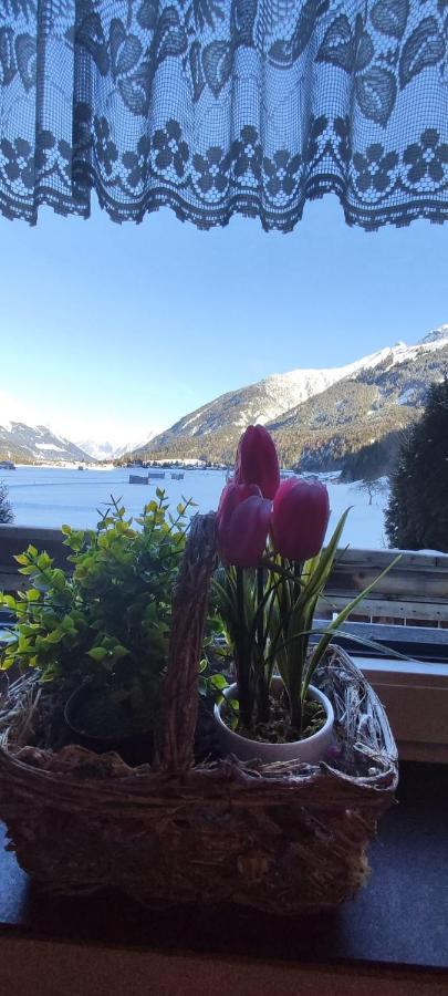 Ferienhaus Lechtaler Alpen Bach  Buitenkant foto